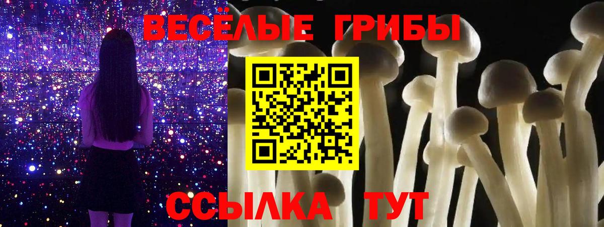 Псилоцибиновые грибы MAGIC MUSHROOMS  где можно купить наркотик  Коркино  Вход с VPN  Псилоцибиновые грибы Psilocybe 